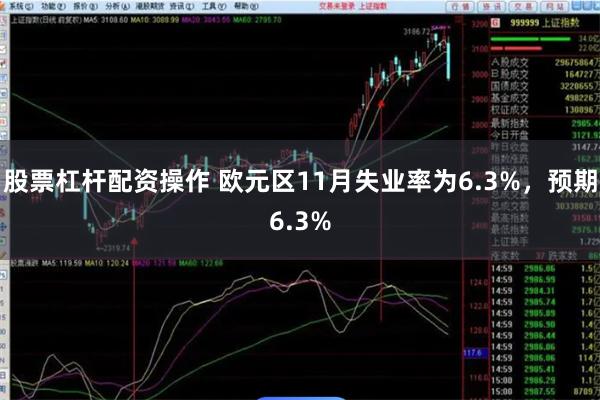 股票杠杆配资操作 欧元区11月失业率为6.3%，预期6.3%